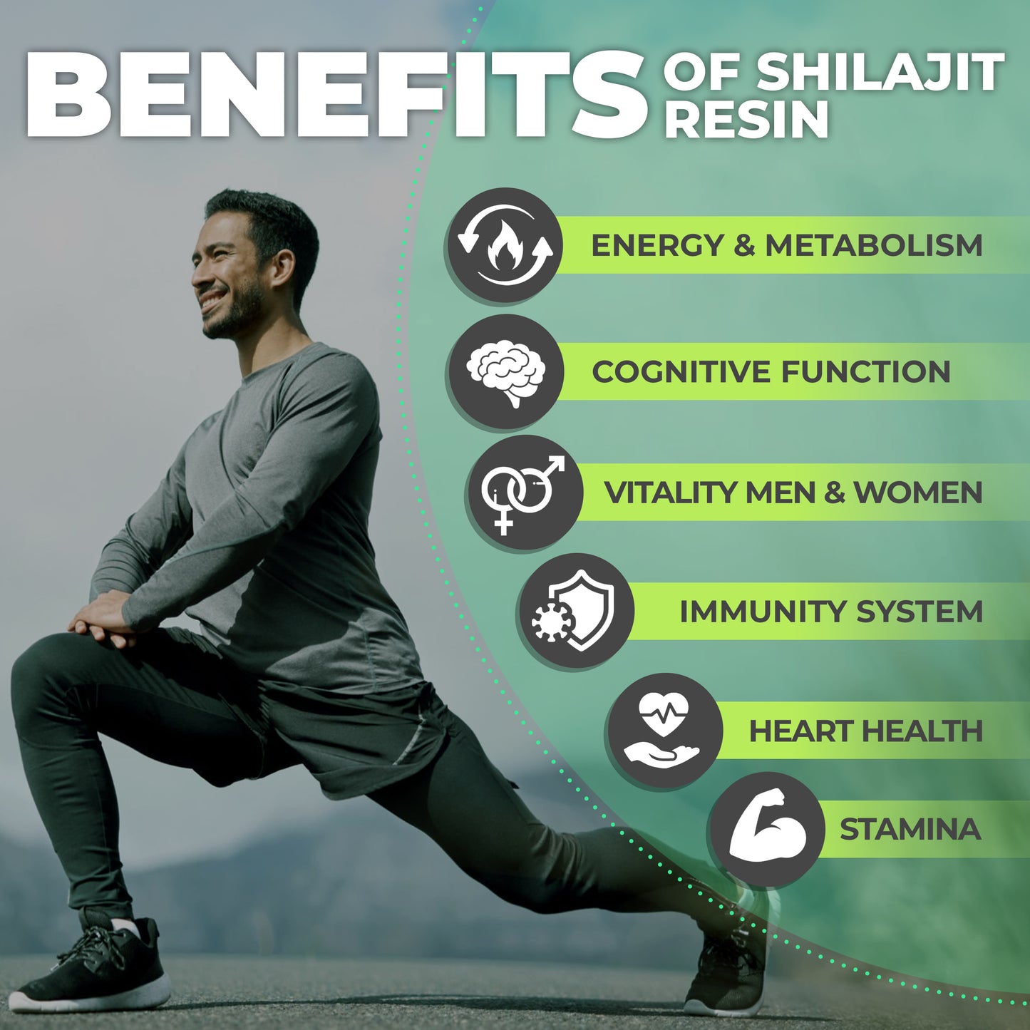 FlyFeel Shilajit Resin 50 mg